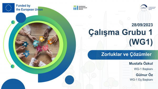 Zorluklar ve Çözümler Çalışma Grubu WG1 (C&S-WG) Toplantısı